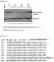 Fig. 59 - RNA-binding protein