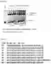 Fig. 60 - RNA-binding protein