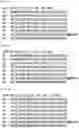 Fig. 61 - RNA-binding protein