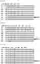Fig. 65 - RNA-binding protein