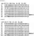 Fig. 66 - RNA-binding protein