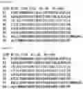 Fig. 68 - RNA-binding protein