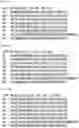 Fig. 70 - RNA-binding protein