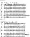 Fig. 75 - RNA-binding protein
