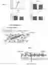Fig. 03 - Methods and compositions for rapidly replacing cardiac myosin binding protein-C in sarcomeres