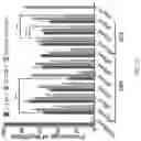 Fig. 04 - Micro-dystrophins and related methods of use