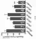 Fig. 14 - Micro-dystrophins and related methods of use