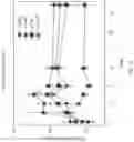 Fig. 26 - Micro-dystrophins and related methods of use