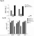 Fig. 03 - STEM CELL MODEL OF APOE GENOTYPE AND Abeta42-DEPENDENT NEURODEGENERATION AND METHODS OF USING THE SAME