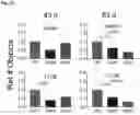 Fig. 23 - STEM CELL MODEL OF APOE GENOTYPE AND Abeta42-DEPENDENT NEURODEGENERATION AND METHODS OF USING THE SAME