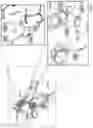 Fig. 02 - IL-13 SUPERKINE: IMMUNE CELL TARGETING CONSTRUCTS AND METHODS OF USE THEREOF