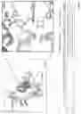 Fig. 06 - IL-13 SUPERKINE: IMMUNE CELL TARGETING CONSTRUCTS AND METHODS OF USE THEREOF