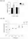 Fig. 05 - Prevention of tissue ischemia and related methods