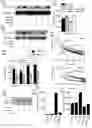 Fig. 32 - Prevention of tissue ischemia and related methods