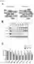 Fig. 13 - Methods for sensitizing cancer cells to T cell-mediated killing by modulating molecular pathways