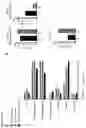 Fig. 34 - Methods for sensitizing cancer cells to T cell-mediated killing by modulating molecular pathways