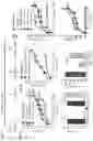 Fig. 10 - Agents that modulate immune cell activation and methods of use thereof