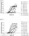 Fig. 09 - ANTIBODY HEAVY CHAIN VARIABLE DOMAINS TARGETING THE NKG2D RECEPTOR