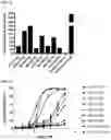 Fig. 11 - ANTIBODY HEAVY CHAIN VARIABLE DOMAINS TARGETING THE NKG2D RECEPTOR