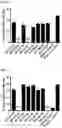 Fig. 15 - ANTIBODY HEAVY CHAIN VARIABLE DOMAINS TARGETING THE NKG2D RECEPTOR