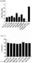 Fig. 16 - ANTIBODY HEAVY CHAIN VARIABLE DOMAINS TARGETING THE NKG2D RECEPTOR