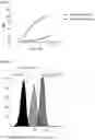 Fig. 18 - ANTIBODY HEAVY CHAIN VARIABLE DOMAINS TARGETING THE NKG2D RECEPTOR