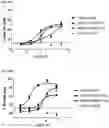 Fig. 27 - ANTIBODY HEAVY CHAIN VARIABLE DOMAINS TARGETING THE NKG2D RECEPTOR