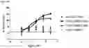 Fig. 31 - ANTIBODY HEAVY CHAIN VARIABLE DOMAINS TARGETING THE NKG2D RECEPTOR