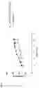 Fig. 38 - ANTIBODY HEAVY CHAIN VARIABLE DOMAINS TARGETING THE NKG2D RECEPTOR