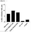 Fig. 41 - ANTIBODY HEAVY CHAIN VARIABLE DOMAINS TARGETING THE NKG2D RECEPTOR