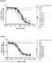 Fig. 13 - Anti-IL1RAP antibodies