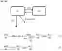 Fig. 18 - Anti-IL1RAP antibodies