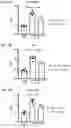 Fig. 22 - Anti-IL1RAP antibodies