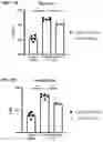 Fig. 23 - Anti-IL1RAP antibodies