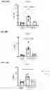 Fig. 24 - Anti-IL1RAP antibodies