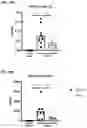 Fig. 25 - Anti-IL1RAP antibodies