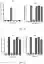 Fig. 09 - CD30 bispecific antibodies and method of immunotherapy of CD30+ malignancies