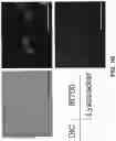 Fig. 03 - Photosensitizing antibody-fluorophore conjugates