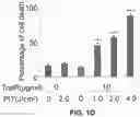 Fig. 05 - Photosensitizing antibody-fluorophore conjugates