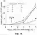 Fig. 06 - Photosensitizing antibody-fluorophore conjugates