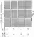 Fig. 07 - Photosensitizing antibody-fluorophore conjugates