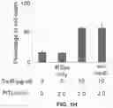 Fig. 09 - Photosensitizing antibody-fluorophore conjugates