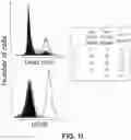Fig. 10 - Photosensitizing antibody-fluorophore conjugates
