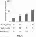 Fig. 11 - Photosensitizing antibody-fluorophore conjugates