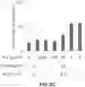 Fig. 14 - Photosensitizing antibody-fluorophore conjugates