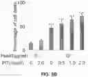 Fig. 20 - Photosensitizing antibody-fluorophore conjugates