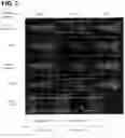 Fig. 30 - Photosensitizing antibody-fluorophore conjugates