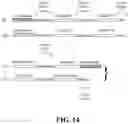 Fig. 16 - Deimmunized Serum-Binding Domains and Their Use in Extending Serum Half-Life