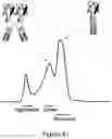 Fig. 37 - Deimmunized Serum-Binding Domains and Their Use in Extending Serum Half-Life