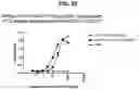 Fig. 53 - Deimmunized Serum-Binding Domains and Their Use in Extending Serum Half-Life